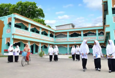 Pondok Pesantren Darussalam Bogor: Profil, Informasi Kontak, dan Sistem Pendidikan Ponpes