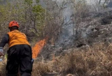 Waspada Kemarau Panjang, BPBD Ponorogo Catat Lonjakan Titik Api Karhutla di 3 Kecamatan