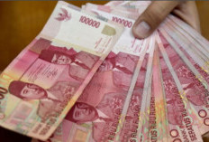Investasi di SMG Penghasil Langsung Cair? Bernakah Modal Klik Doang Dapat Cuan Ratusan Ribu Per Hari