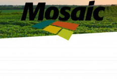 Apakah Mosaic APK Terbukti Membayar? Investasi Penghasil Uang yang Lagi Viral!