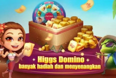 Cara Daftar Agen/Mitra Resmi Higss Domino island, Untung Banyak! Cek Persyaratannya Disini