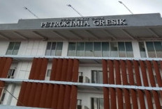 Jadwal Dokter Rumah Sakit Petrokimia Gresik Terupdate 2023, Mulai Dokter Umum hingga Spesialis Lengkap