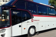 Rute dan Jadwal Bus Primajasa dari TASIKMALAYA ke CILILITAN Terbaru 2023, Solusi Transportasi Nyaman dan Aman