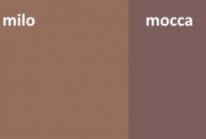 Ini Perbedaan Warna Mocca dan Milo yang Serupa Tapi Tak Sama Berikut Kelebihan Serta Kekurangannya