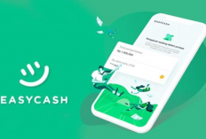 Apakah Easy Cash Ada DC Lapangan? Begini Pengalaman Pengguna Beserta Resiko yang Didapatkan