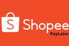 Pengalaman Telat Bayar Shopee PayLater 2 Bulan, Hati-Hati! Bisa Tercata SLIK OJK Hingga Didatangi DC