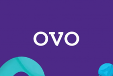 Cara Top Up OVO dengan Kartu Kredit Paling Mudah dan Aman, Transaksi Langsung Lancar Jaya