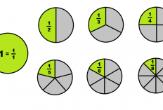 Cara Mengurutkan Pecahan Biasa dan Campuran Matematika Kelas 4 SD/MI, Dilengkapi dengan Contoh Soal