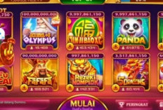 Paling Hoki! Download Higgs Domino Apk X8 Speeder Terbaru Tahun 2023, Unlimited Money Full Jackpot!