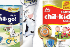 Perbedaan Susu Morinaga Chil Kid Sama Chil Go, Cek Kandungan Gizinya Buat Tau Lebih Dalam!