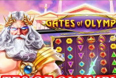 Rampok Zeus! Pola Gacor Olympus Hari Ini 6 Januari 2024 Nggak Perlu Depo Langsung Spin Auto Cuan 