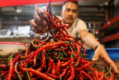 Melambung Cukup Tinggi! Update Harga Pangan 11 Desember 2023 di Palembang, Cabai dan Bawang Alami Kenaikan Lagi