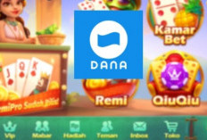 Cara Top Up Higgs Domino Via Dana Januari 2024, Gak Nyangka Dapet Harga 2B Semurah Ini!
