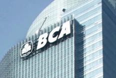 Punya Banyak Untung! Berikut Cara Daftar BCA Solitaire Terbaru 2023 Paling Mudah