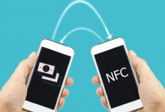 Penyebab NFC di Xiaomi Redmi Note 4 Tidak Aktif, Penyebab No 1 Sering Terjadi!