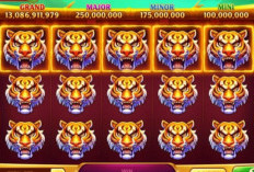 Auto JP Grandong! Trik dan Pola Room Panda Higgs Domino Desember 2023, Full Dapat Macan Gahar