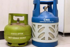 INDEF Usulkan CNG Pengganti LPG 3 Kg Diterapkan Bertahap Lewat dengan Sistem Klaster