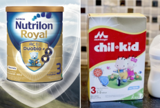 Perbedaan Susu Formula Merk Morinaga Dengan Bebelac , Intip Review nya Disini!