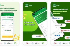 Benarkah Singa Id Tidak Gunakan DC Lapangan? Jangan Gegabah Pinjol! Cek Dulu Faktanya Disini