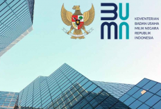 Cara Mendaftar Program Magang Magenta BUMN 2023, Cek Syarat dan Ketentuannya Berikut 