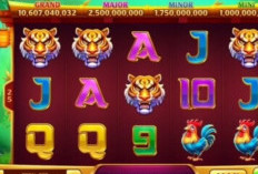 Pola Room Panda Higgs Domino Hari Ini 19 Februari 2023, jackpot Macan Bisa Diambil!