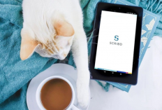 Daftar Akun Scribd Premium Gratis 2024, Masih Aktif! Download File Tugas Tanpa Batas Tiap Hari