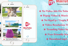 Download MaxTube Downloader Mod Apk di Android 2024, Convert Video Youtube ke MP3 Dengan Mudah!