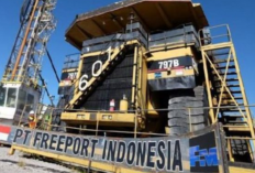 Daftar Gaji Karyawan PT Freeport Terbaru 2023 Untuk Semua Divisi dan Jabatan