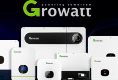 Daftar Grwatt Com APK Terbaru 2024, Aplikasi Penghasil Uang Populer di Android dan iOS