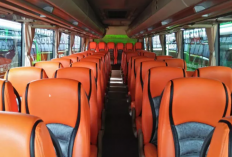 Denah Bus Pariwisata 60 Seat 2-2 dan 2-3 Excel, Dilengkapi dengan Cara Editnya
