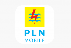 Daftar Kode TRX PLN Manual Advice Terbaru Juni 2024, Begini Cara Bayar Listrik Cuma Lewat HP