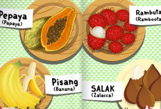 Contoh Gambar Komik Buah-Buahan Simple yang Gampang Ditiru Untuk Pemula, Cekidot! 