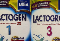 Apa Saja Perbedaan Lactogen Gold dengan Lactogrow Biasa? Mana Pilihan Terbaik mu?