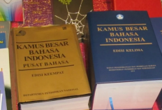 Mengenal Perbedaan Pembina dan Penasehat Lengkap Dengan Contoh Penggunaan Katanya 