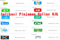 Rekomendasi Pinjol Resmi OJK Cepat Cairkan Dana Terbaru 2023, Tanpa Tunggu Lama Langsung Masuk Saldo!