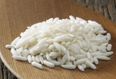 1 Kg Ketan Jadi Berapa Porsi? Perhatikan Takaran Agar Tidak Kurang atau Kelebihan!