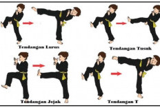 Tutorial Gerakan Silat PSHT Lengkap Dengan Video dan Penjelasan Mudahnya