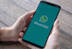 Tutorial PM Kontak Teman di Story WA (WhatsApp) Promote Nomor Baru Anti Ribet Tinggal Klik