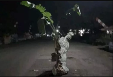 Link Video Horor Viral Para Pekerja Tambang di Morowali, Pengendara Motor di Hadang Poci Sampai Bikin Merinding!