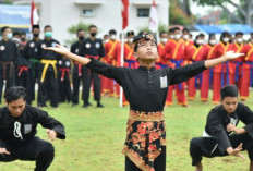 Resiko Ikut PSHT Catat Dampak Positif dan Negatifnya Lengkap Di Bawah Ini