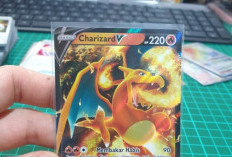 Kartu Charizard VMAX Pokemon Cuma Ada 50 Pcs di Indonesia, Hobi Mahal Para Sultan yang Bikin Dengki Kaum Mendang-Mending