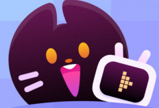 Free Download Loklok Mod APK Premium Versi Terbaru Tahun 2024, Situs Nonton Online Tanpa Bayar!