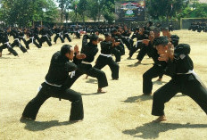 Arti Kode Saat Bertemu Sesama Warga PSHT, Tak Banyak yang Tau: Ternyata Begini Maknanya 