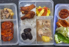 Resep Membuat Bekal Untuk Suami Western dan Nusantara, Lebih Bervariasi Biar Suami Nggak Bosen