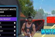Download Regedit White444 V2 FF Auto Headshot Anti Lag, Terbaru dan Paling Update!