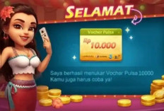 Diskon Up To 25%! Kode Voucher Codashop Higgs Domino Spesial Akhir Tahun Desember 2023, Auto Jadi Sultan