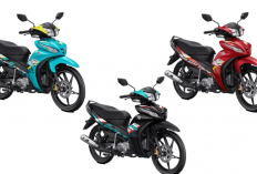 Cara Membedakan Mesin Motor Merk Jupiter Z Keluaran 2003 dan 2008, Motor Paling Favorit Pada Jamannya!