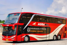 Harga Tiket Bus Agra Mas Berangkat Pagi Terbaru 2023 Berbagai Rute