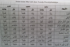Contoh Isim Mufrod dalam Al Quran dan Kehidupan Sehari-hari yang Wajib Kamu Tahu 