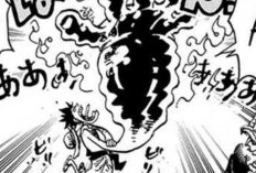 Le Cerveau de Vegapunk Retrouvé ! Spoiler et Lire le Manga One Piece Chapitre 1113 VF FR Scans